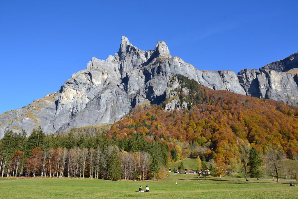 Chalet Narcisse Sixt-Fer-a-Cheval ภายนอก รูปภาพ