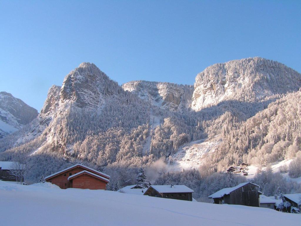 Chalet Narcisse Sixt-Fer-a-Cheval ห้อง รูปภาพ